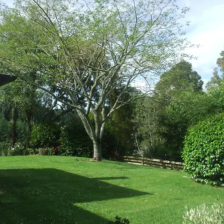 Slice Of Paradise